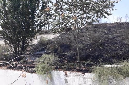 Dəmiryol işçiləri 