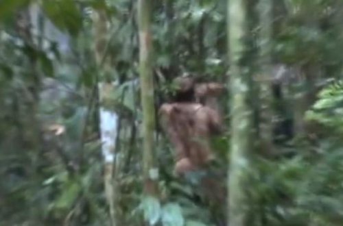 20 il sonra görüntüləndi: Meşədə yalnız və çılpaq - FOTOLAR