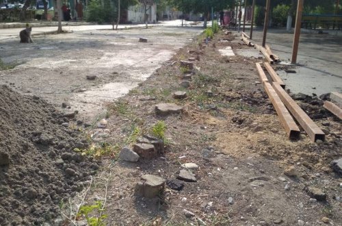 İcra başçısı daha bir yaşıllıq zolağını məhv etdirir - Mehriban Əliyevaya müraciət/ FOTOLAR