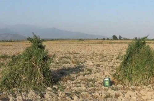 10 ton narkotik yandırıldı