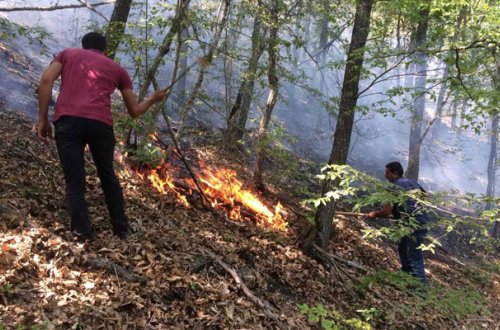 Altıağac hələ də yanır - Fotolar