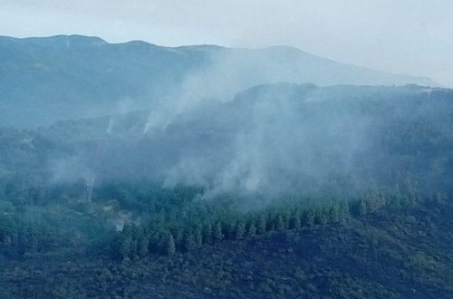 Ağsu və Şamaxıda meşə yanır - FOTO