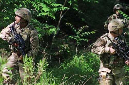 Türkiyədə 54 terrorçu zərəzsizləşdirildi