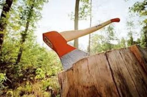 Xətaidə təbiətə 1500 manat məbləğində ziyan vuruldu