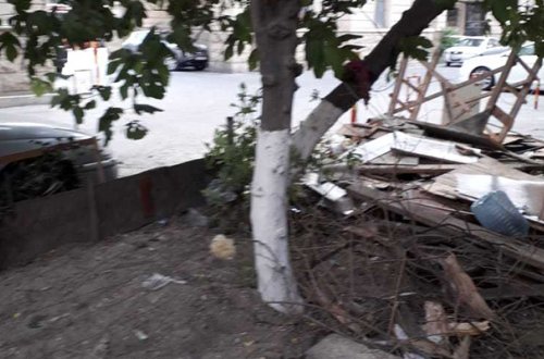 Nazirlik Bakıda ağac kəsən şəxsə 2200 manat cərimə yazdı