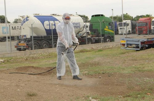 Sərhəd bölgələri xəstəliyə qarşı dezinfeksiya edilir