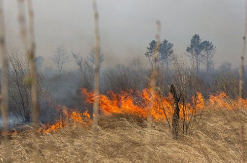 Yanğın hadisələrinə görə daha iki nəfər saxlanıldı