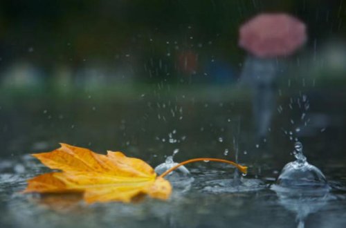Güclü yağış Zaqatalada fəsadlar törətdi - VİDEO