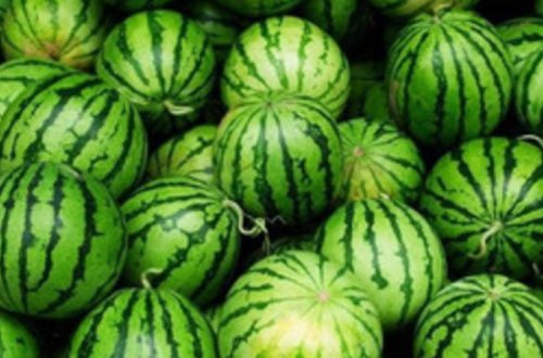 Neftçalada ana və qızı qarpızdan zəhərləndi