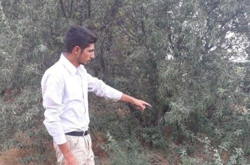 DSX əməliyyat kerçirdi: 3 kq tiryək tutuldu - FOTO