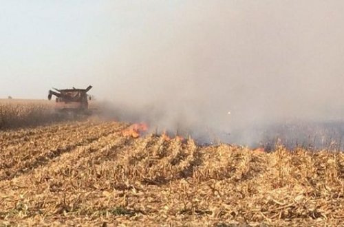 Beyləqan və Oğuzda biçilmiş taxıl sahələrini yandıranlar saxlanıldı
