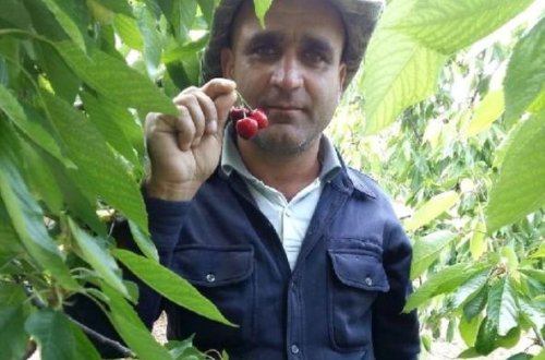 Türkiyədə quduz azərbaycanlı öldü