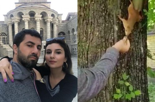 Günayı dələ dişlədi