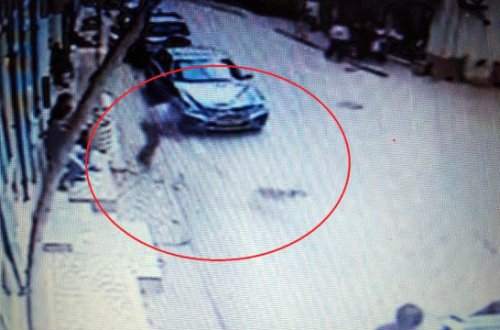 İnsanlığa sığmayan VƏHŞİLİK - İti ağacla döyüb... - FOTO