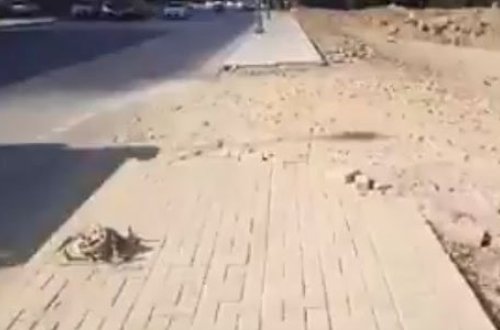 YASAMALDA SAKİNLƏRİN HƏYATI TƏHLÜKƏDƏ: 