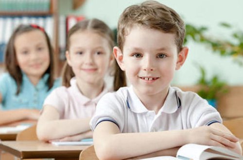 Təhsil eksperti: Məktəblərdə rus bölməsi ləğv olunmalıdır