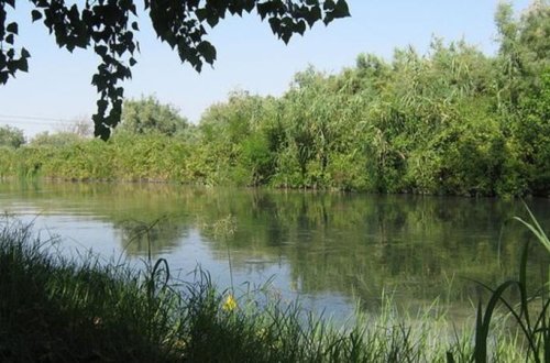 Tovuzda gənc oğlan çayda batdı