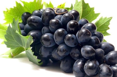 Üzüm yeyin, çünki...