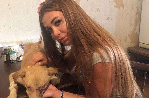 Azərbaycanlı aktrisa gözü çıxarılmış iti əməliyyat etdirdi - FOTO