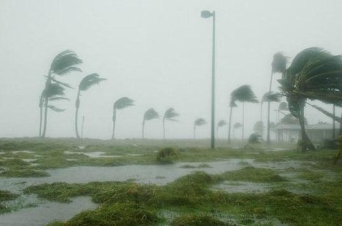 Yaponiyanı qorxuya salan 