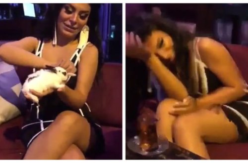 Dovşandan qorxan Afaq Aslanın alt paltarı göründü - VİDEO
