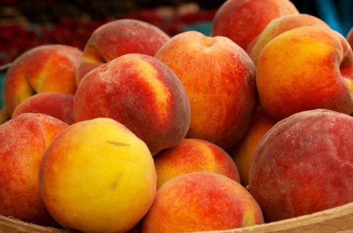 Azərbaycan şaftalısında xəstəlik aşkarlandı