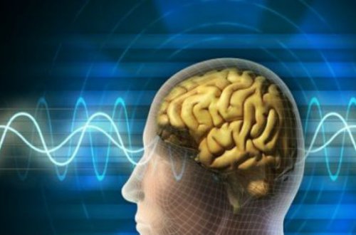 Yaddaşı gücləndirən qidalar: İki dilim ananas, bir ovuc yer fındığı…