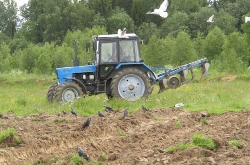 Azərbaycanlı gənc Türkiyədə faciəvi şəkildə öldü - FOTO