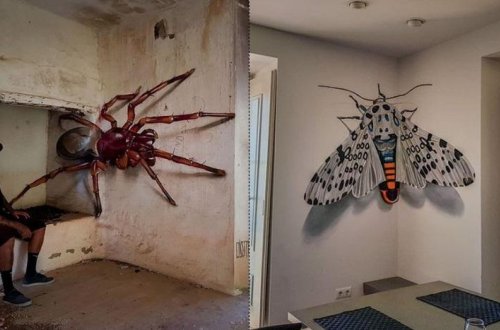 Hər kəs gerçək bilir, əsl həqiqət isə belədir - Fotolar