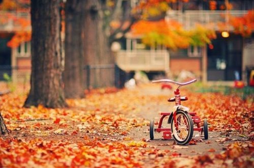 Sabahın hava proqnozu açıqlanıb