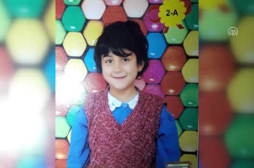 Meyvə toplamaq üçün evdən çıxan 9 yaşlı qız bir daha geri qayıtmadı - FOTO