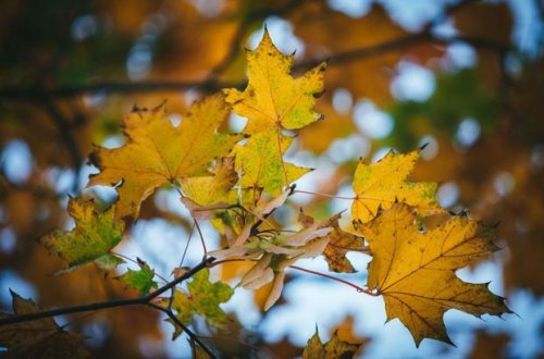 Sinoptiklərdən hava müjdəsi