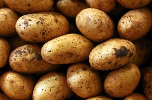 İrandan gətirilən 50 ton kartof Azərbaycana buraxılmadı - VİDEO