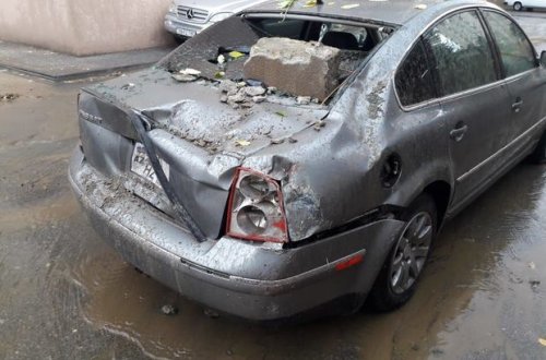 Yağışdan sonra - FOTO