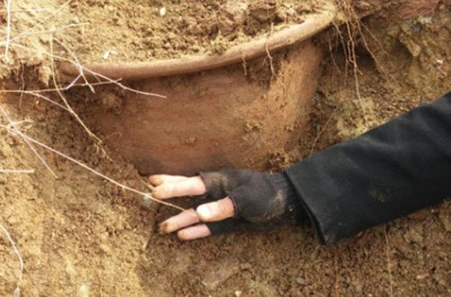 Eşidən inanmır - 44 il öncə ölən kişinin cəsədini mədəsindəki toxum ortaya çıxardı - VİDEO