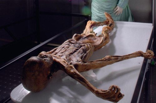 5300 illik mumiyadakı tatunun sirri açıldı - FOTO