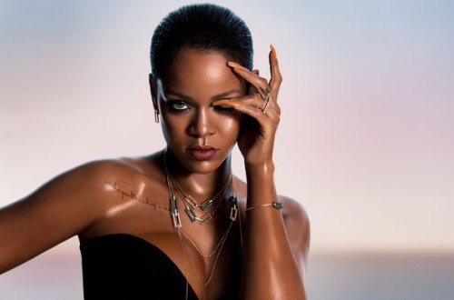 Rihannanın evinə oğru girdi, polislər helikopterlə gəldi - FOTO