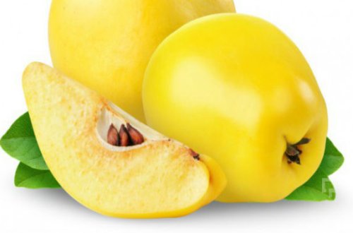 Ürəyin 1 nömrəli dostu: Heyvanın möcüzəvi faydaları