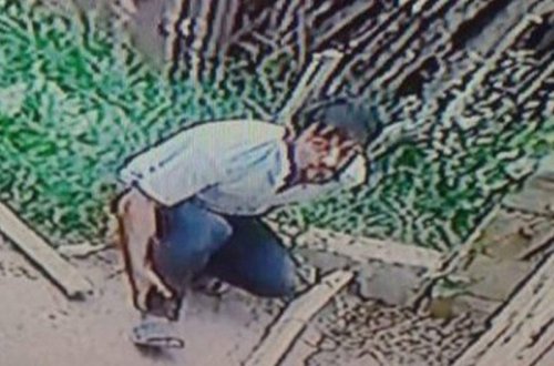 Sarayda oğru həyətə belə girdi - VİDEO