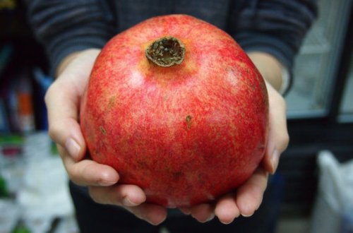 Azərbaycanlılar Moskvada havaya “böyük nar” buraxacaqlar