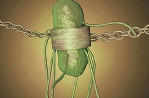 Yeni bakteriya növü tapıldı - Alternativ enerji mənbəyi kimi istifadə olunacaq