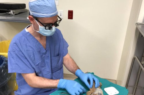 Kanadalı həkimdən maraqlı ƏMƏLİYYAT - Əvvəl ayını, sonra 8 yaşlı uşağı...