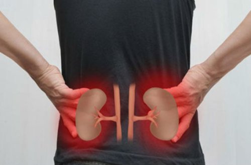 Faydalı məsləhətlər: Sabah və axşam 1 stəkan içmək böyrəkləri təmizləyir