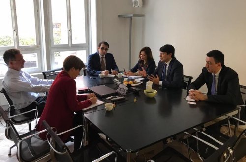 Diaspor Komitəsinin sədri İsveçrədədir-FOTO