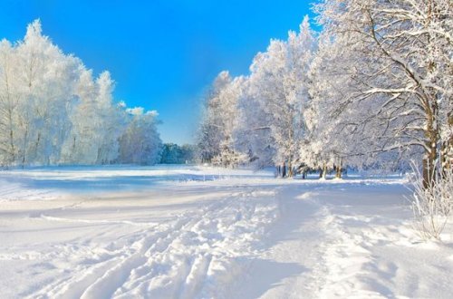 Azərbaycana ilk qar yağdı - FOTO