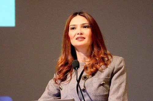 Millət vəkilindən Türkiyə əleyhinə yalanlara sərt reaksiya