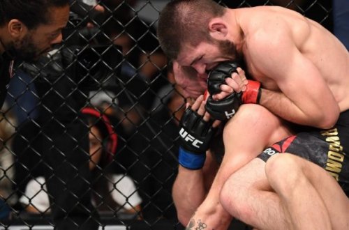 Həbib Makqreqoru belə təhqir etdi - O anın VİDEOSU