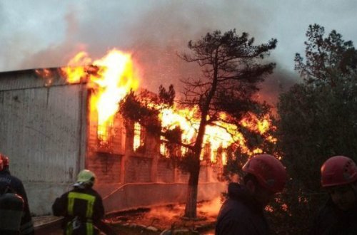 Narkoloji Mərkəzdə yanğın işi: Məhəmməd hadisə günü evə buraxılmalı idi
