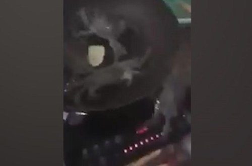 Xərçəng yanmasın deyə tavadan çıxıb, qazı söndürdü - VİDEO