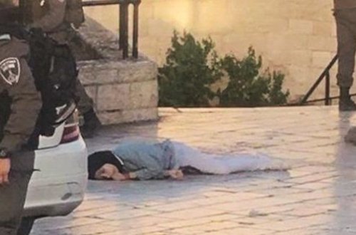 İsrail əsgərləri fələstinli qızı güllələdi - VİDEO